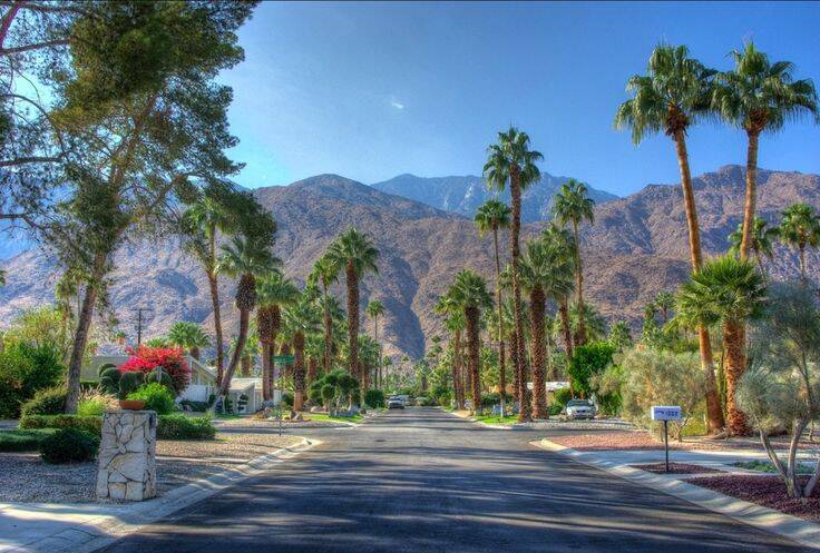 Palm_Springs_Gregory_Manns.jpg
