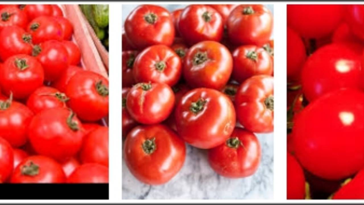 TomatoBanner.jpg