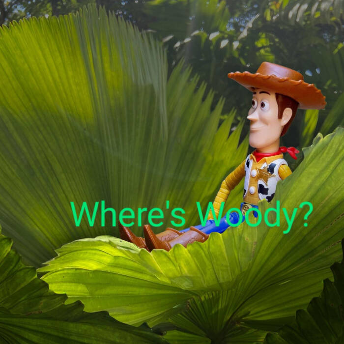 Woody.jpg