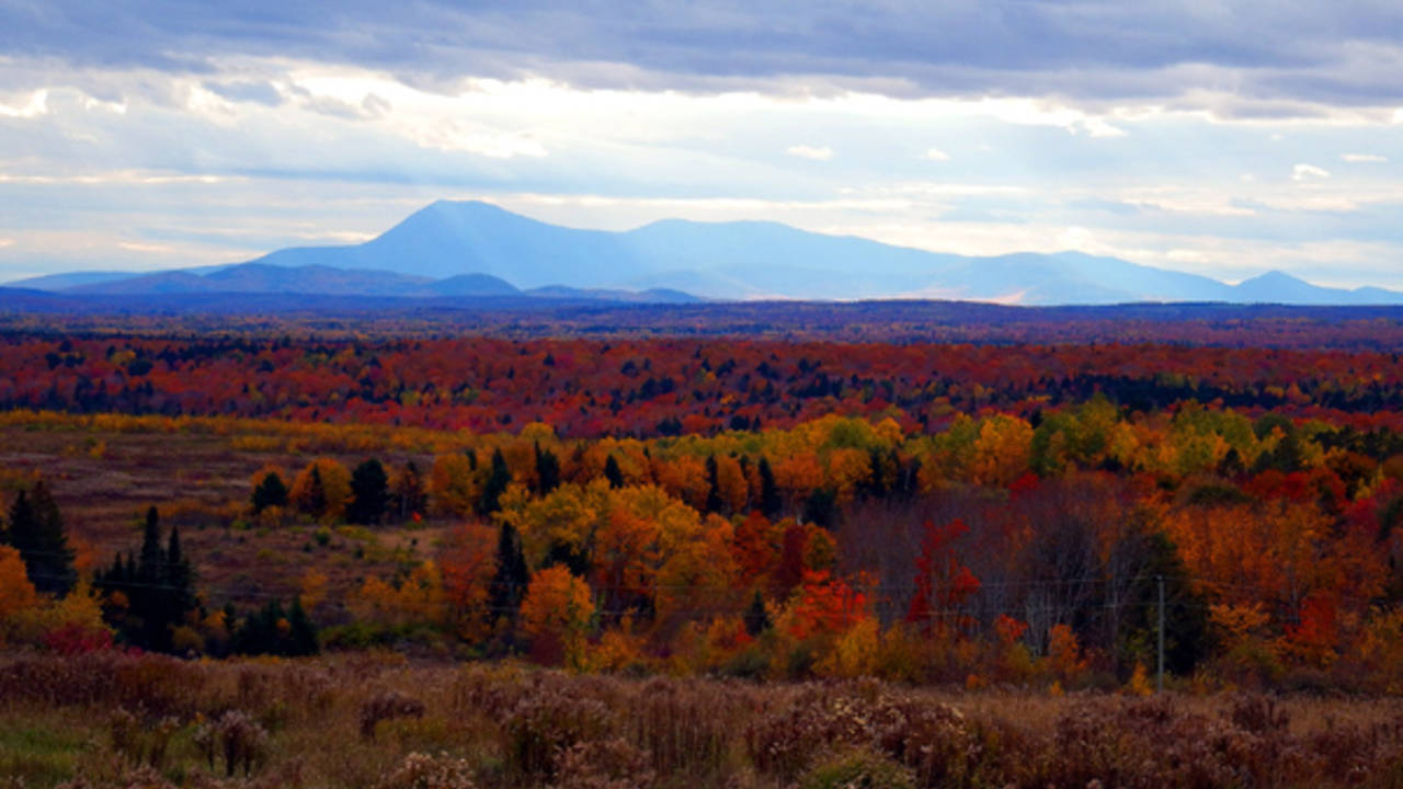 southernaroostookcounty.jpg