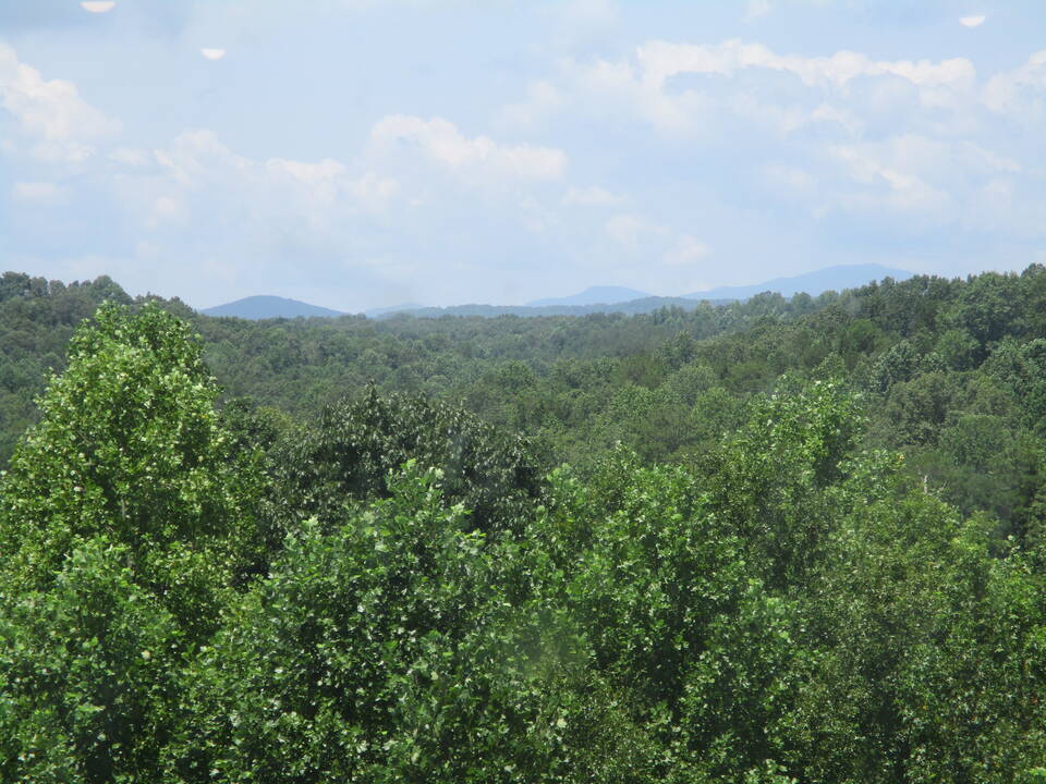 IMG_5649.JPG