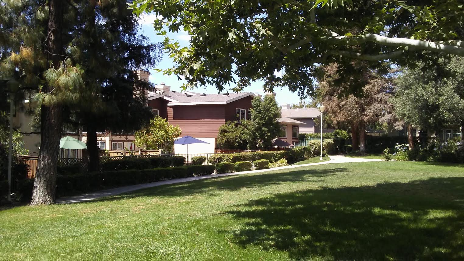 California Rose Court Paired Homes Pasadena