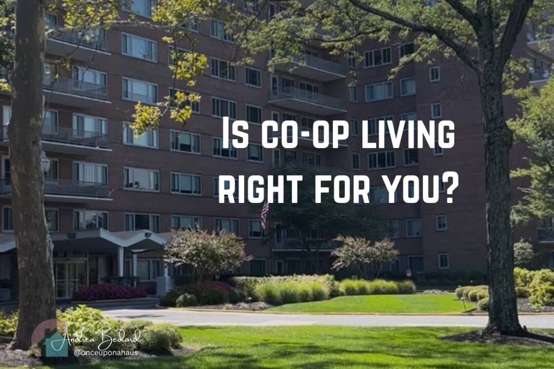 Is_coop_living_right_for_you.png