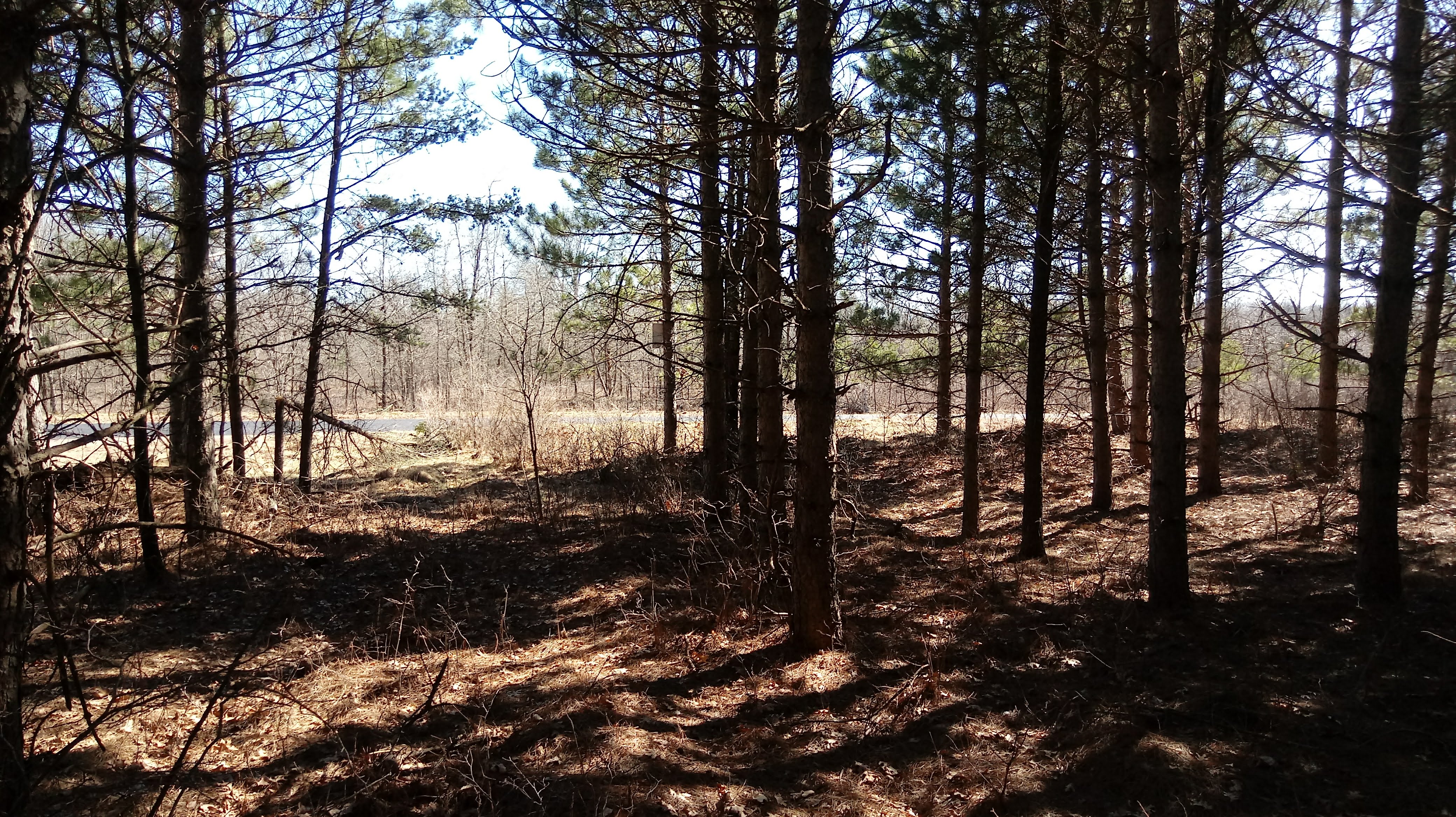 WANTED! EAU CLAIRE COUNTY FOREST HUNTING TIMBER LAND!