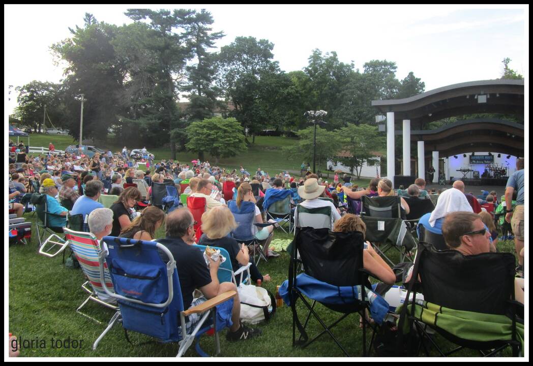 Rose Tree Park Free Summer Concerts June 1216, 2024