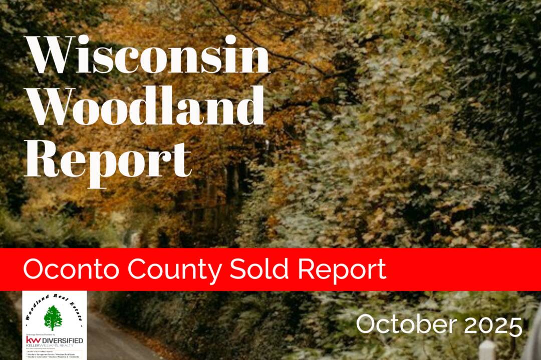 Oconto_10-2025S_Woodland-Reports-1800x1200-layout1775-1kestbn.png
