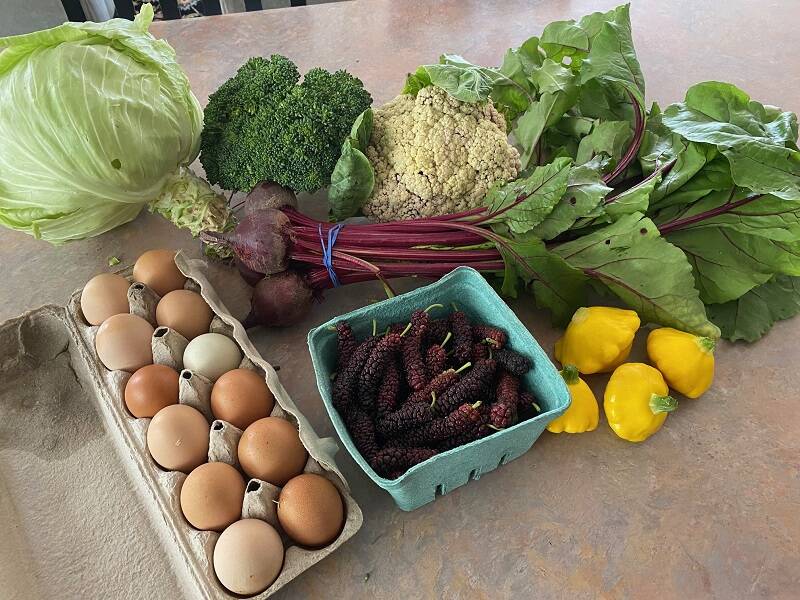 Our_Farm_Stand_haul.jpg
