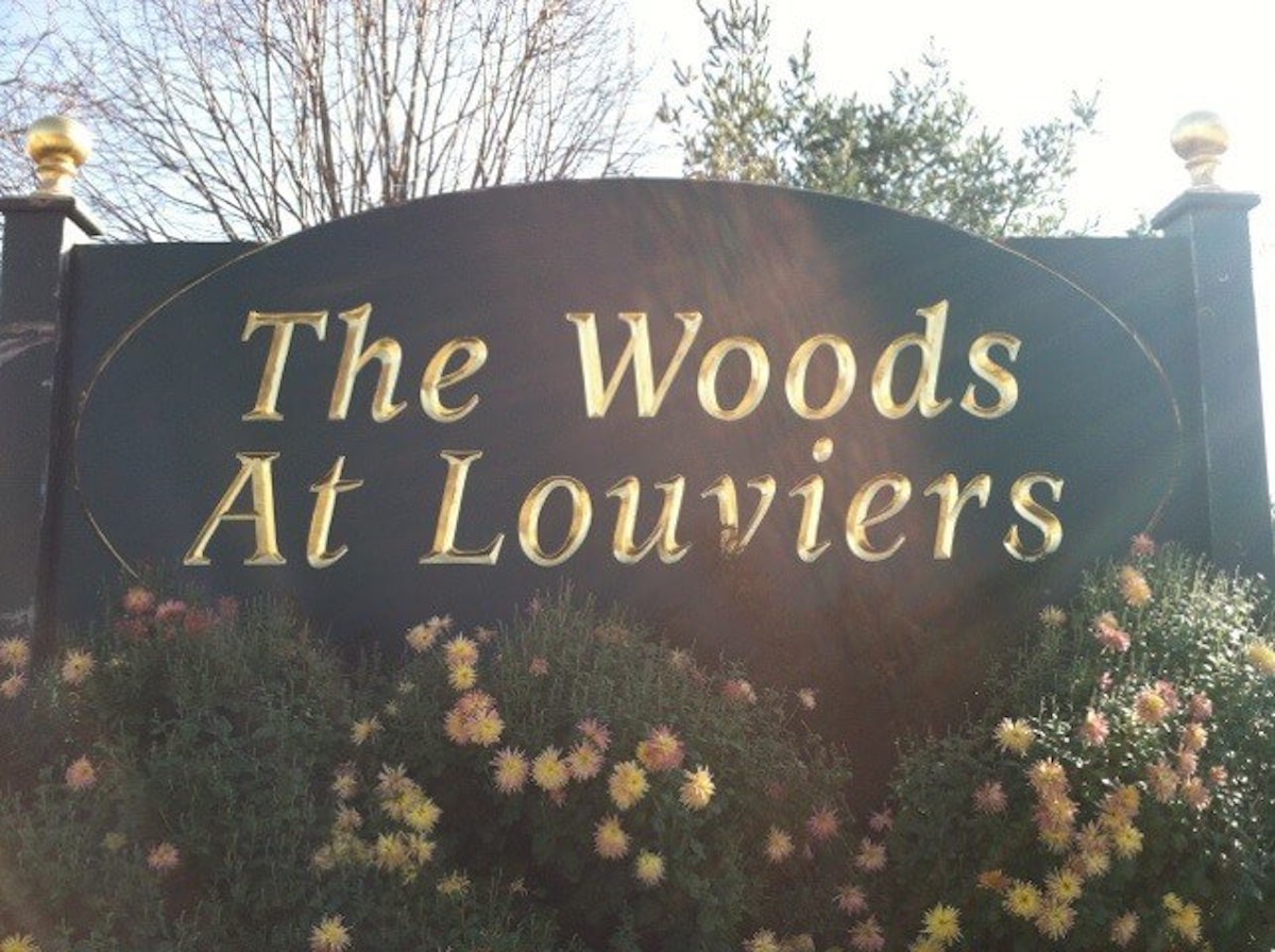 The Woods at Louviers Homes for Sale and Sold Report f