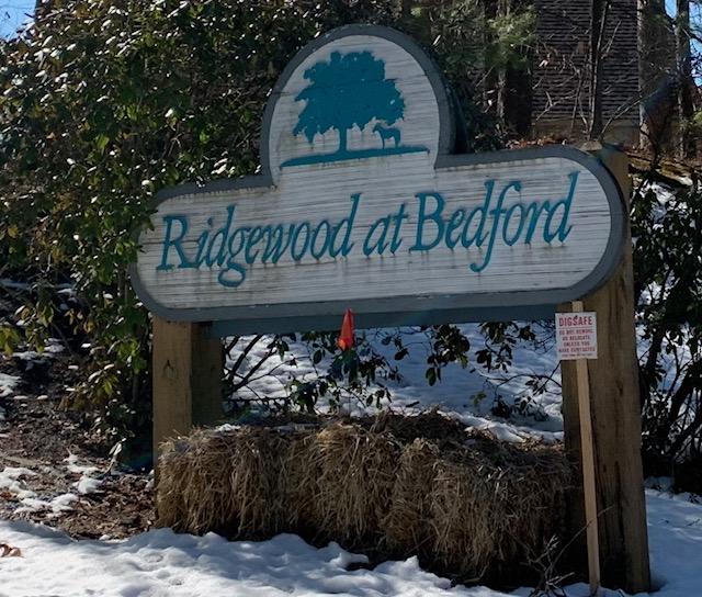 What are the RIDGEWOOD ESTATES Condominiums worth in 20