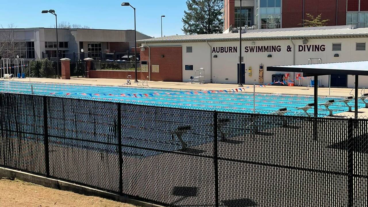 Auburn University Swimming and Diving vs. Alabama