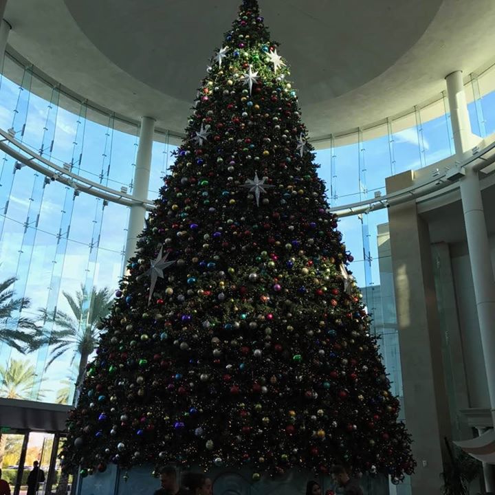 Best Christmas Lights in and around Clermont FL 2019