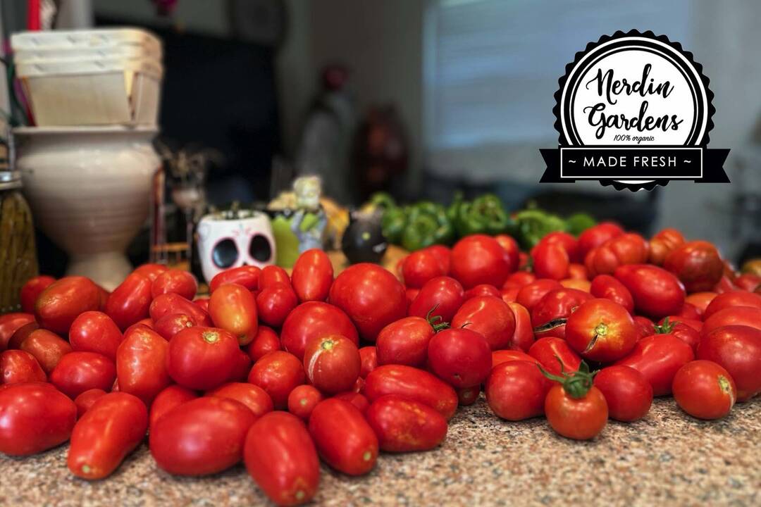 Nerdin Gardens 25 Things To Do With Fresh Tomatoes