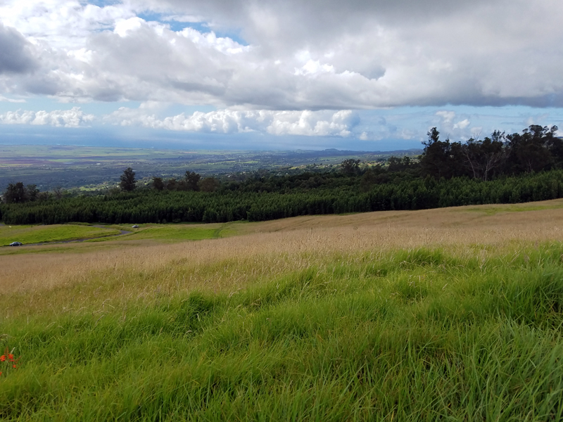 Kula Named Best Place to Escape to in Hawaii