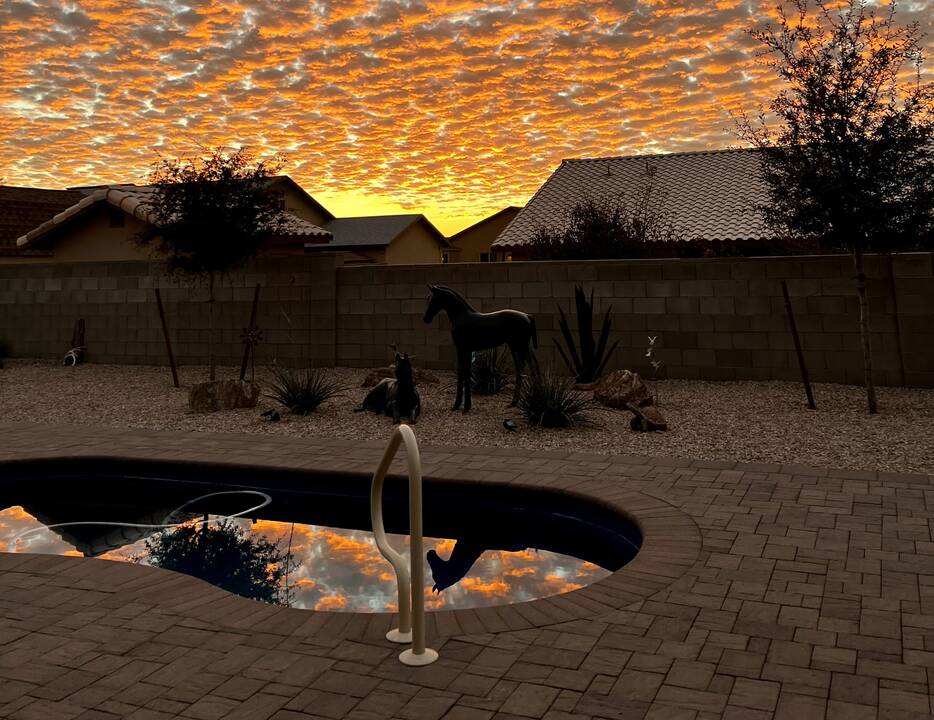 Pool.Horse.Sunset.Clouds.jpeg