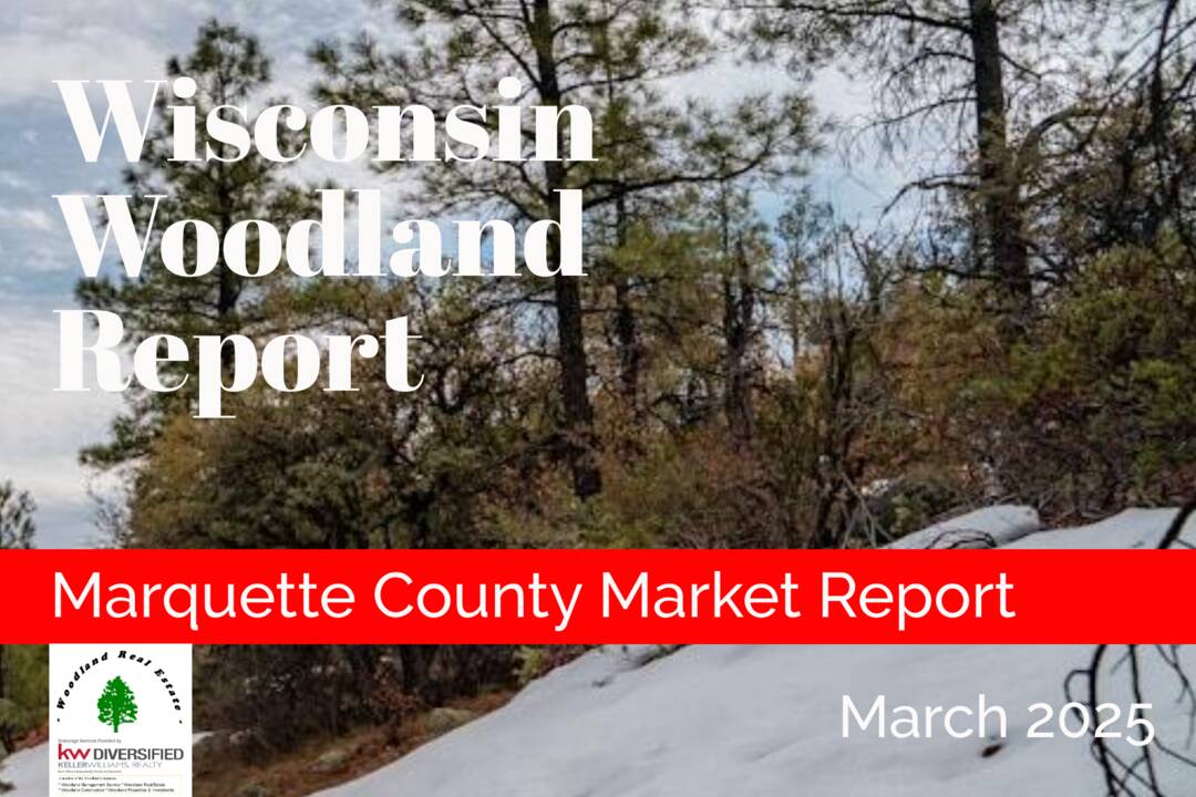 Marquette_03-25S_Woodland-Reports-1800x1200-layout1775-1jse8pa.png