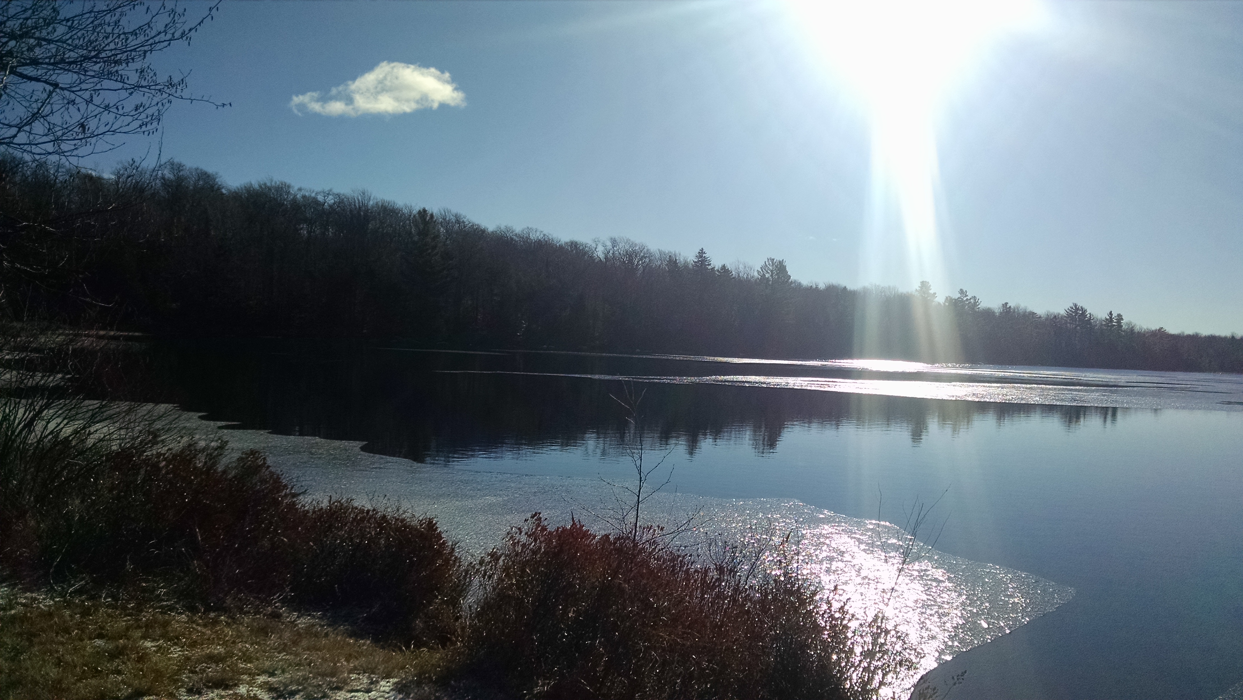 Wisconsin Forest Lands, Best Management Practices