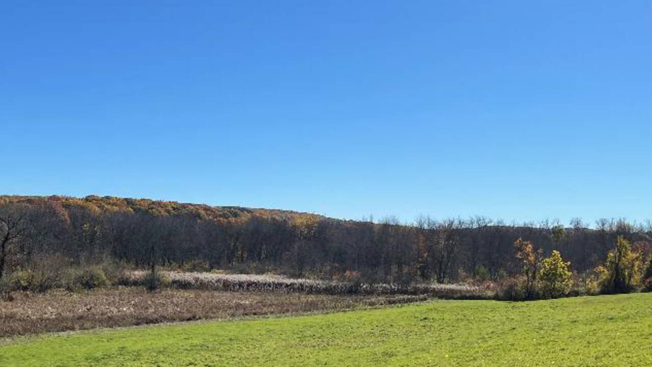 Fall_2022_-_6.jpg