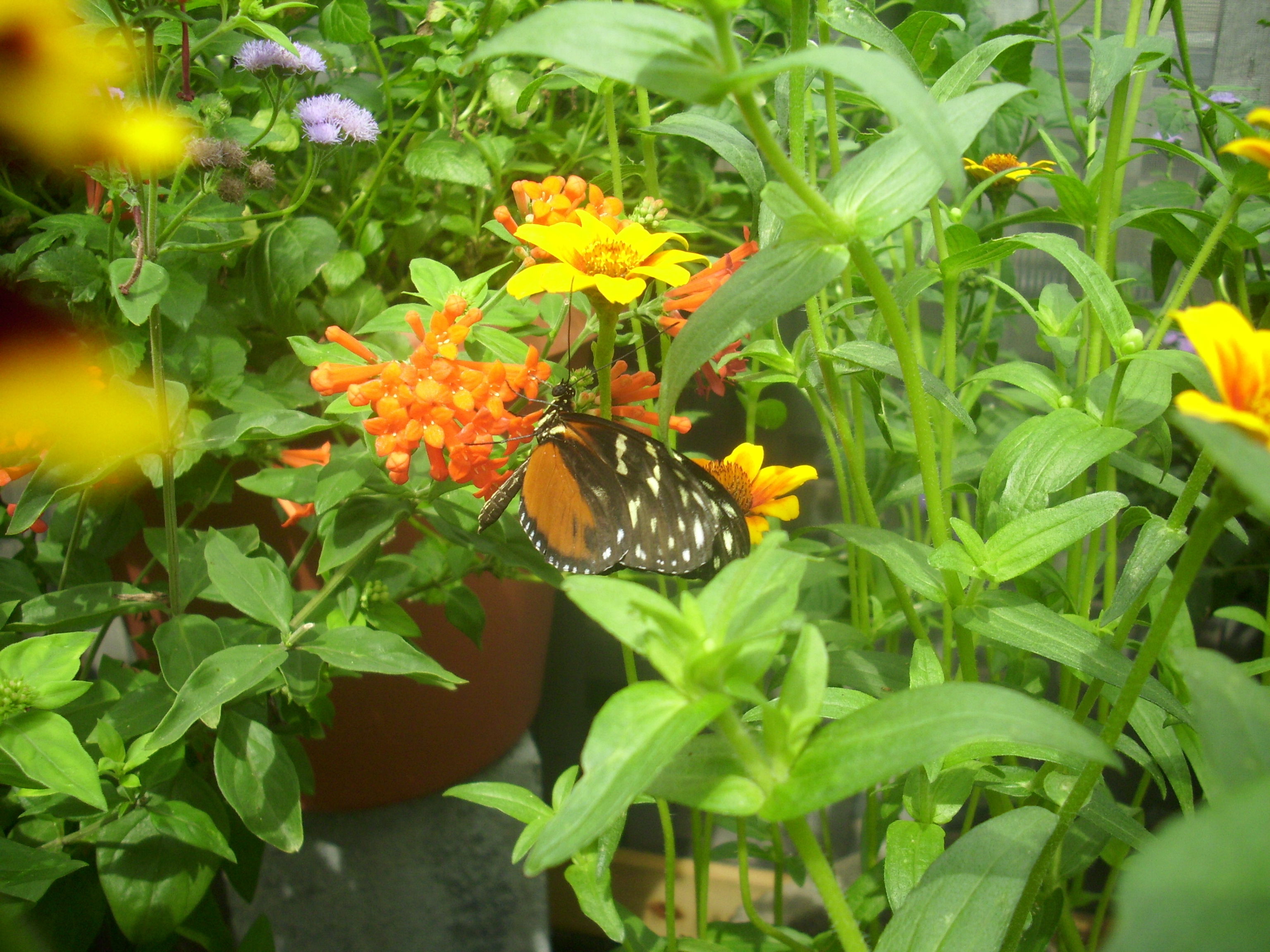 Jubilee Women's Center Seattle