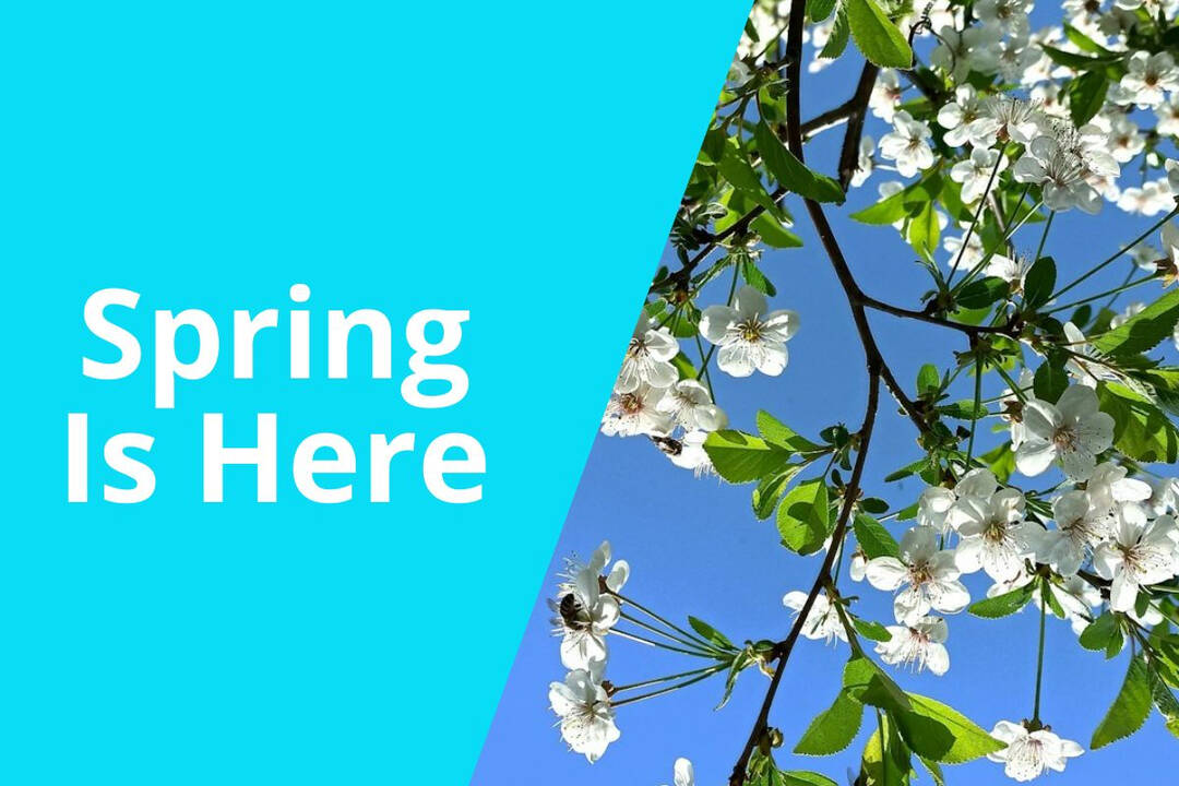 spring.jpg
