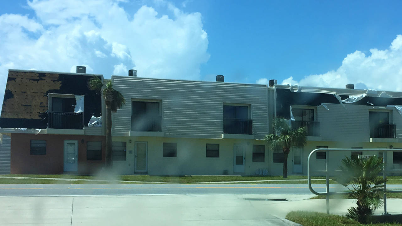 Irma.jpg