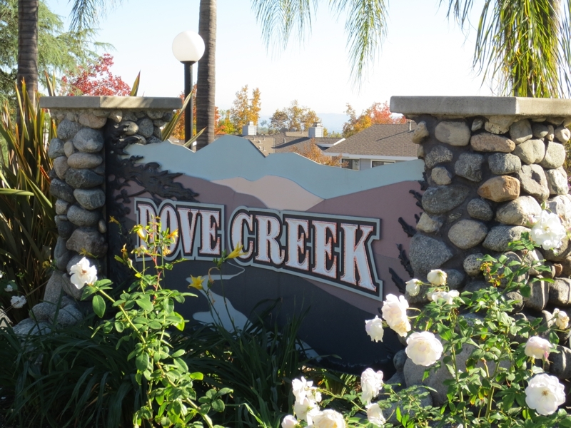 Dove Creek Townhome Community in Pasadena