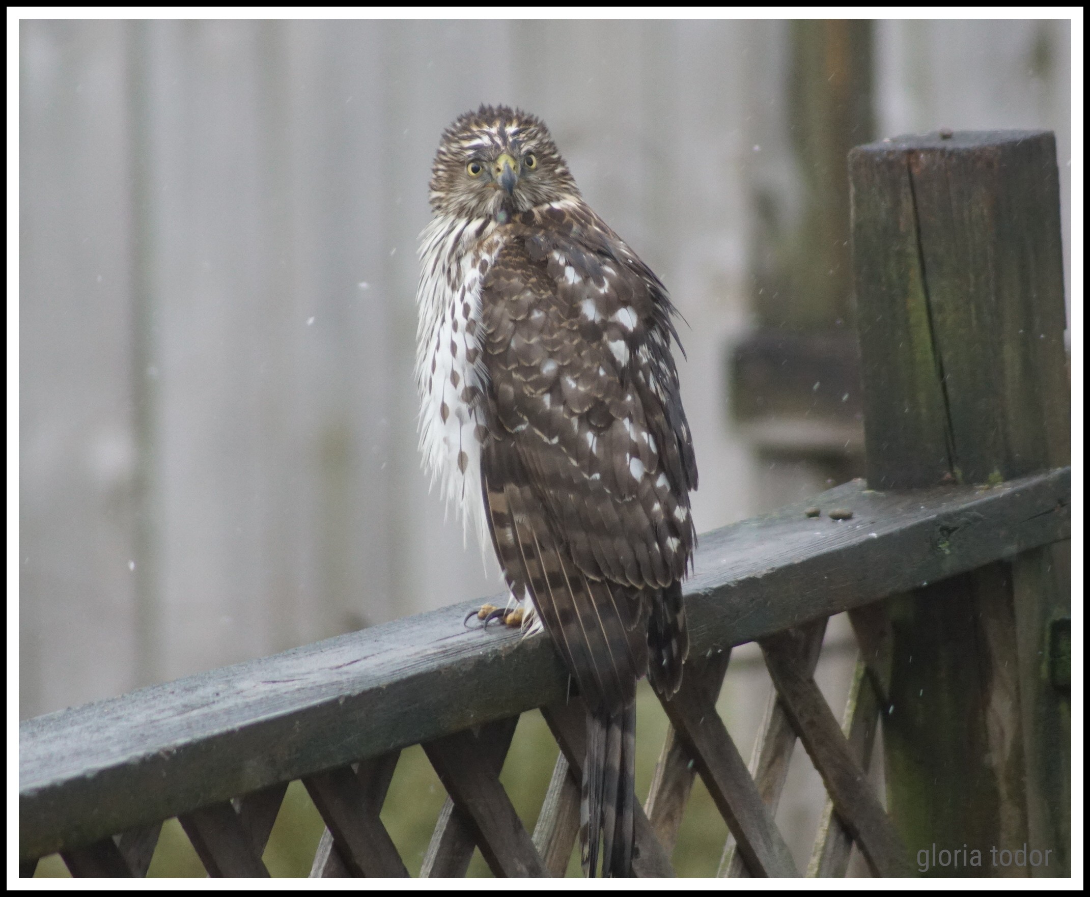 Upper Providence Township PA Homes For Sale Feb 2023