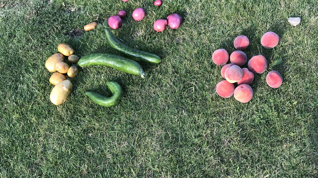 Garden.jpg