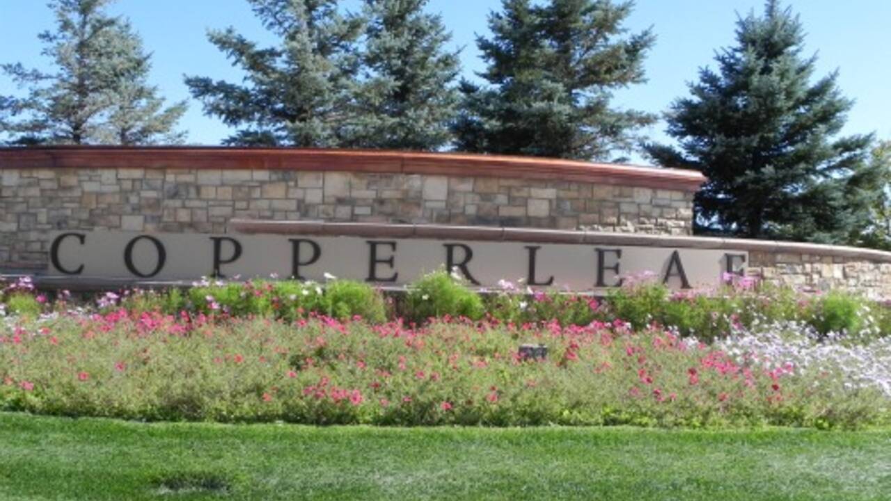 What is Happening in the Copperleaf Neighborhood Auro