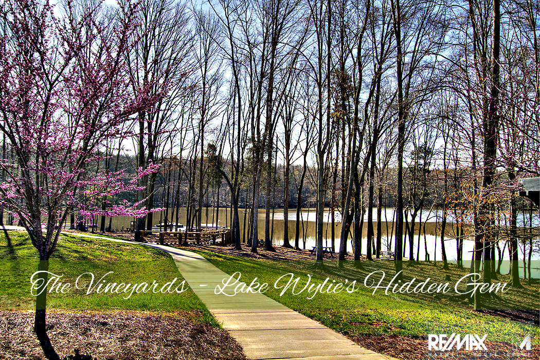 The Vineyards on Lake Wylie How's the Market?
