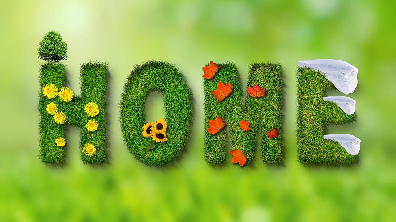seasons-846051_1920.jpg