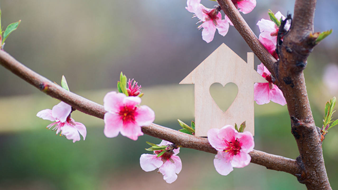 buyers-sellers-early-start-realtor-Tom-gilliam.jpg