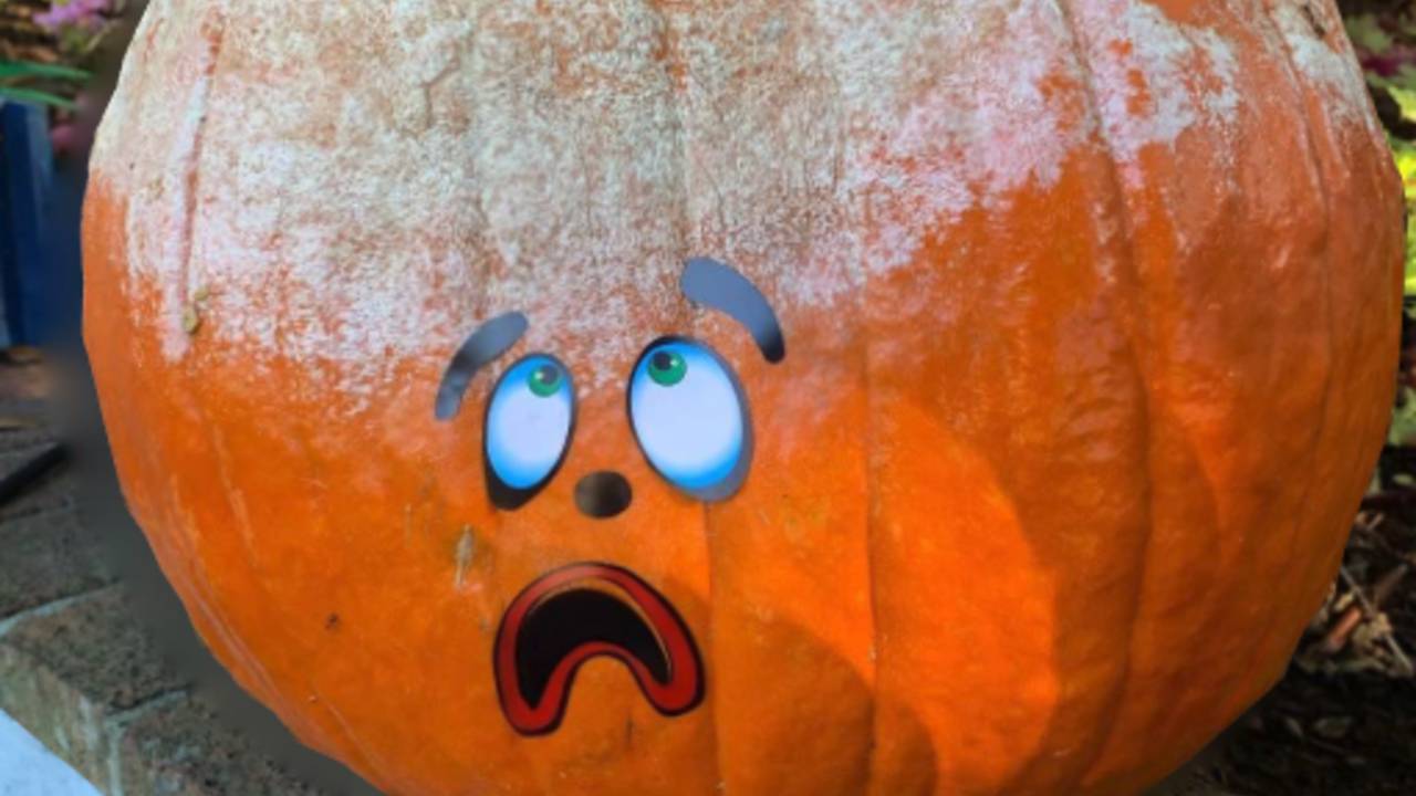 frost_on_pumpkin.png