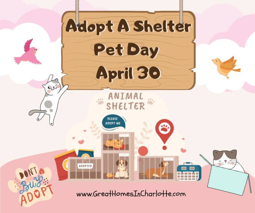Adopt_A_Shelter_Pet_Day_2025.png