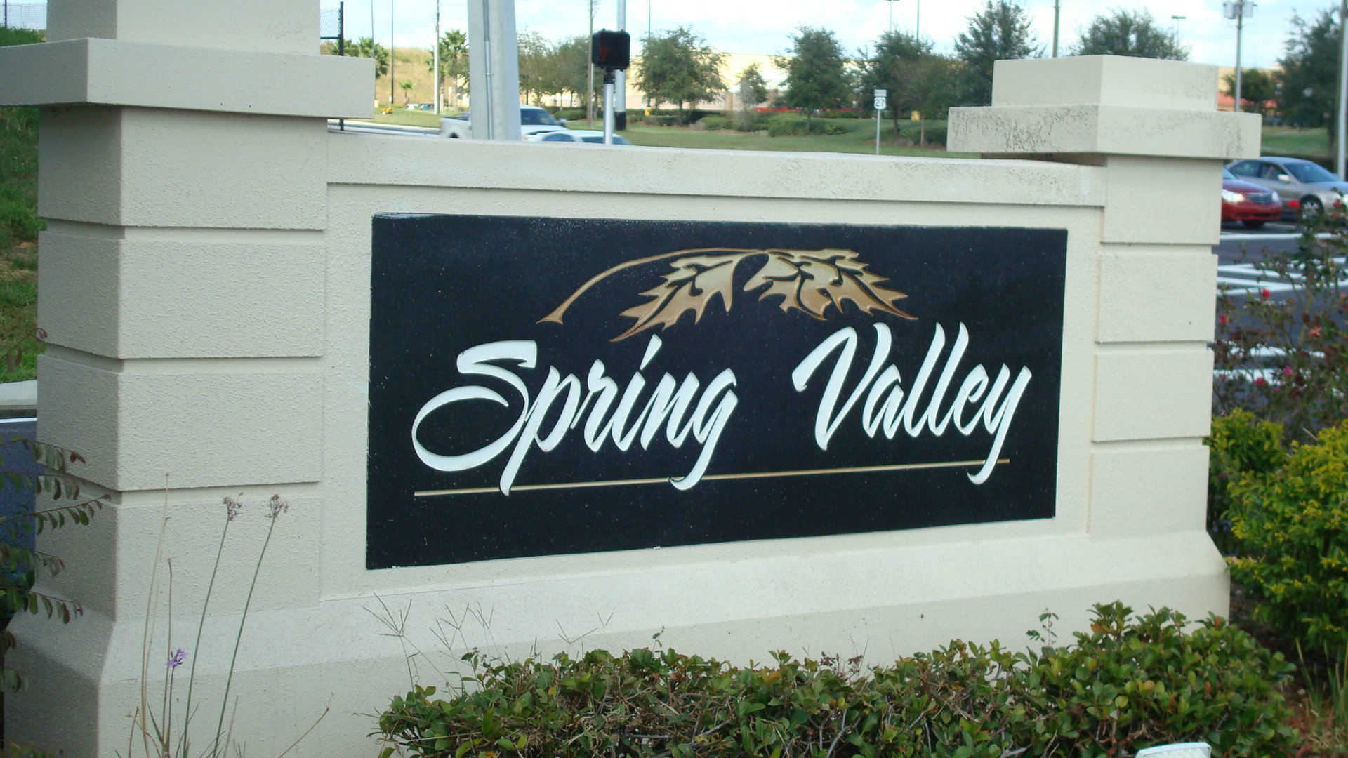 Spring Valley Subdivision Clermont FL Homes for Sale an