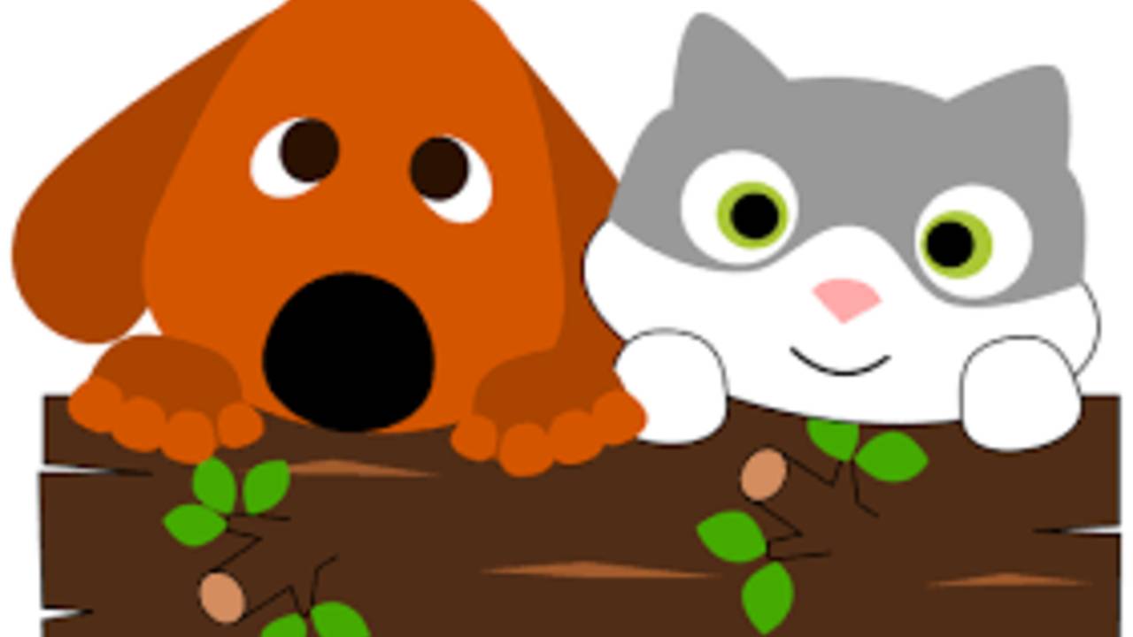 cat_and_dog_banner.png