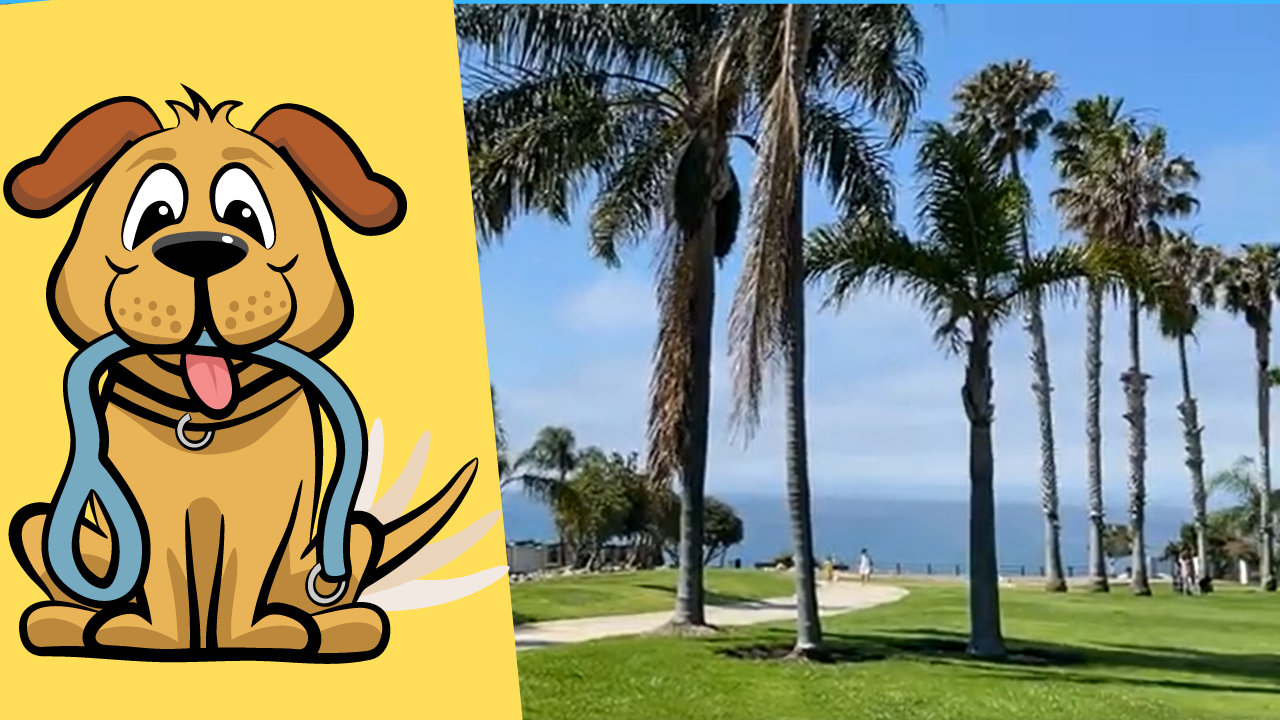 Dog Park Palos Verdes Peninsula PVBC Vanderlip Par