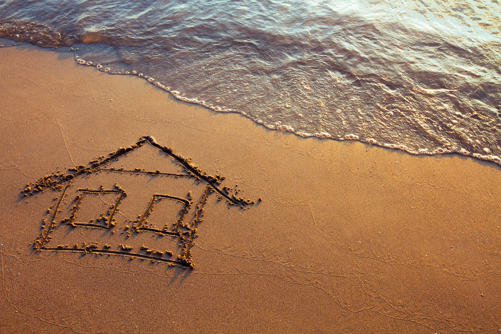 pet_friendly_highland_beach_best_realtor_elyse_berman.jpg