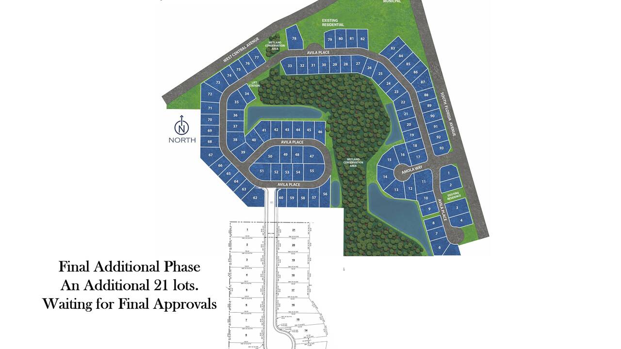 Talichet_by_Dream_Finders_Homes_in_Howey_In_The_Hills_Final_Phase.jpg