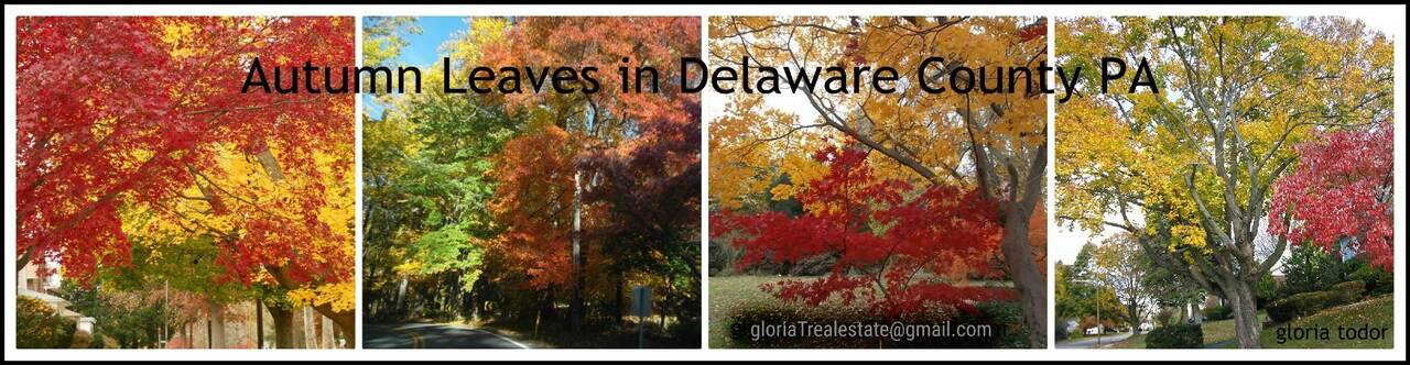 Autumn_Leaves_Delco_a.jpg