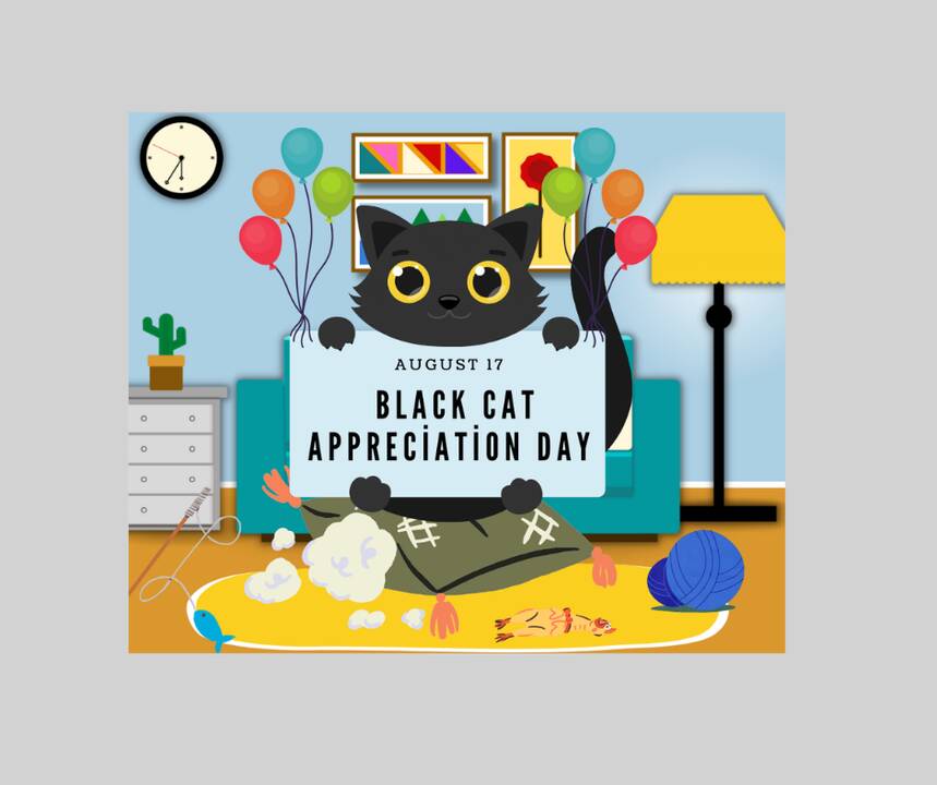 Tackling Superstition On Black Cat Appreciation Day