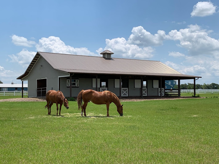 Sarasota Ranch Club Horse Property OPEN House