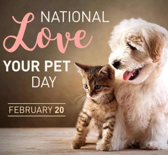 National Love Your Pet Day February 20th