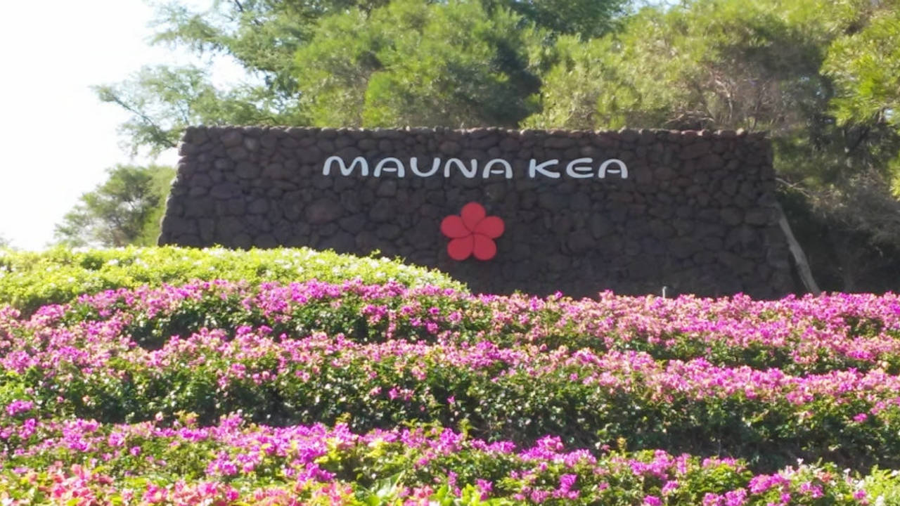 MaunaKeaEntranceOpto.jpg
