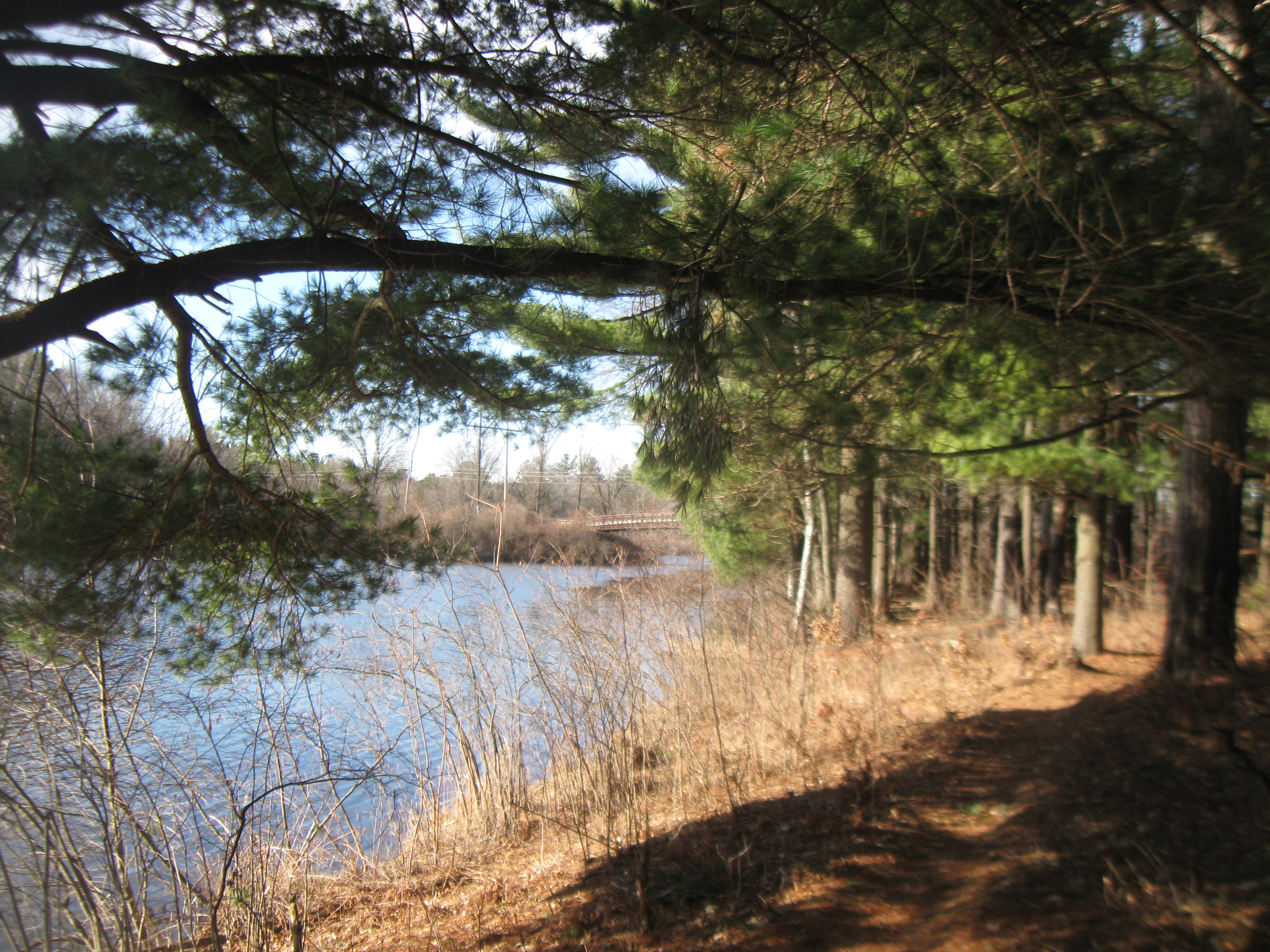 HUNTING & TIMBER LAND WANTED, KEWAUNEE COUNTY FOREST LA