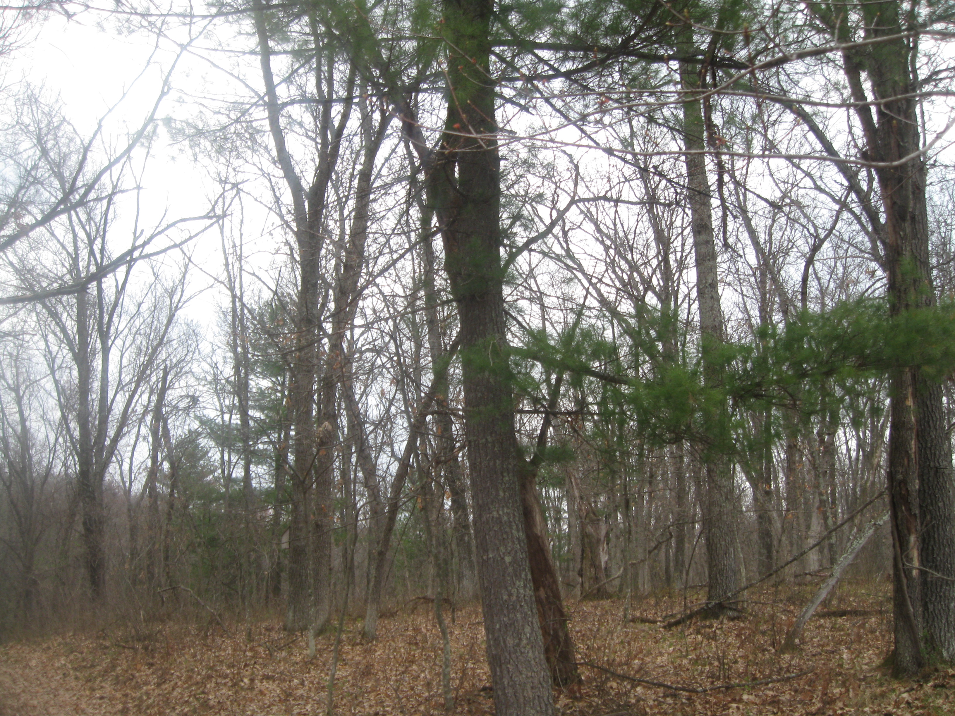SOLD MARKET REPORT FORESTLAND Trempealeau County Huntin