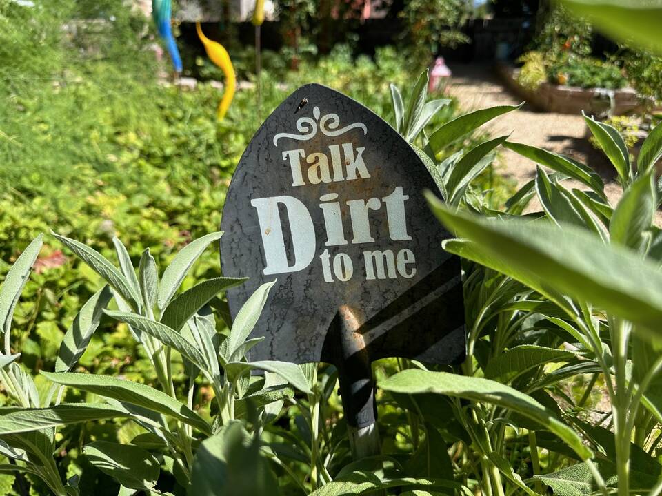 talk_dirt_to_me_sign.jpeg