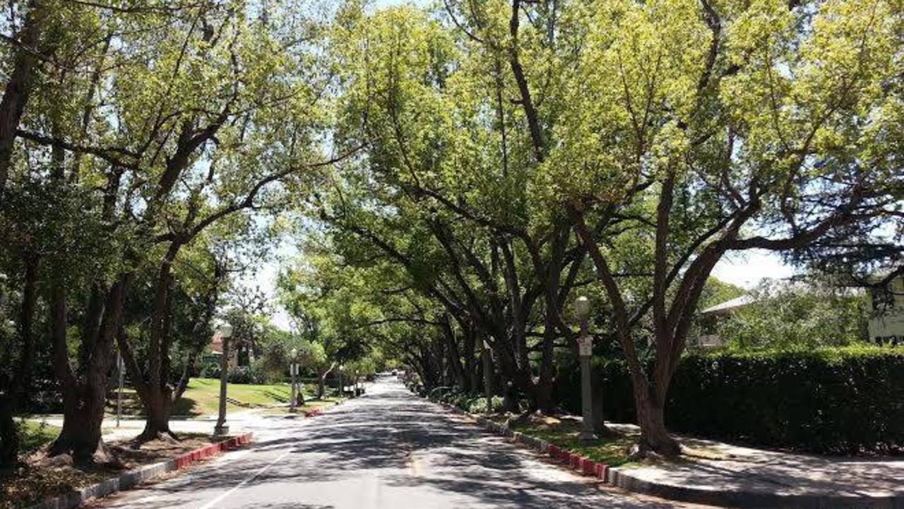 PasadenaMadisonHeightsNeighborhood.jpg
