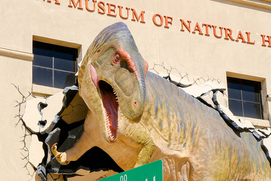 Dino_Arizona_Museum_of_Natural_History_Mesa.jpg