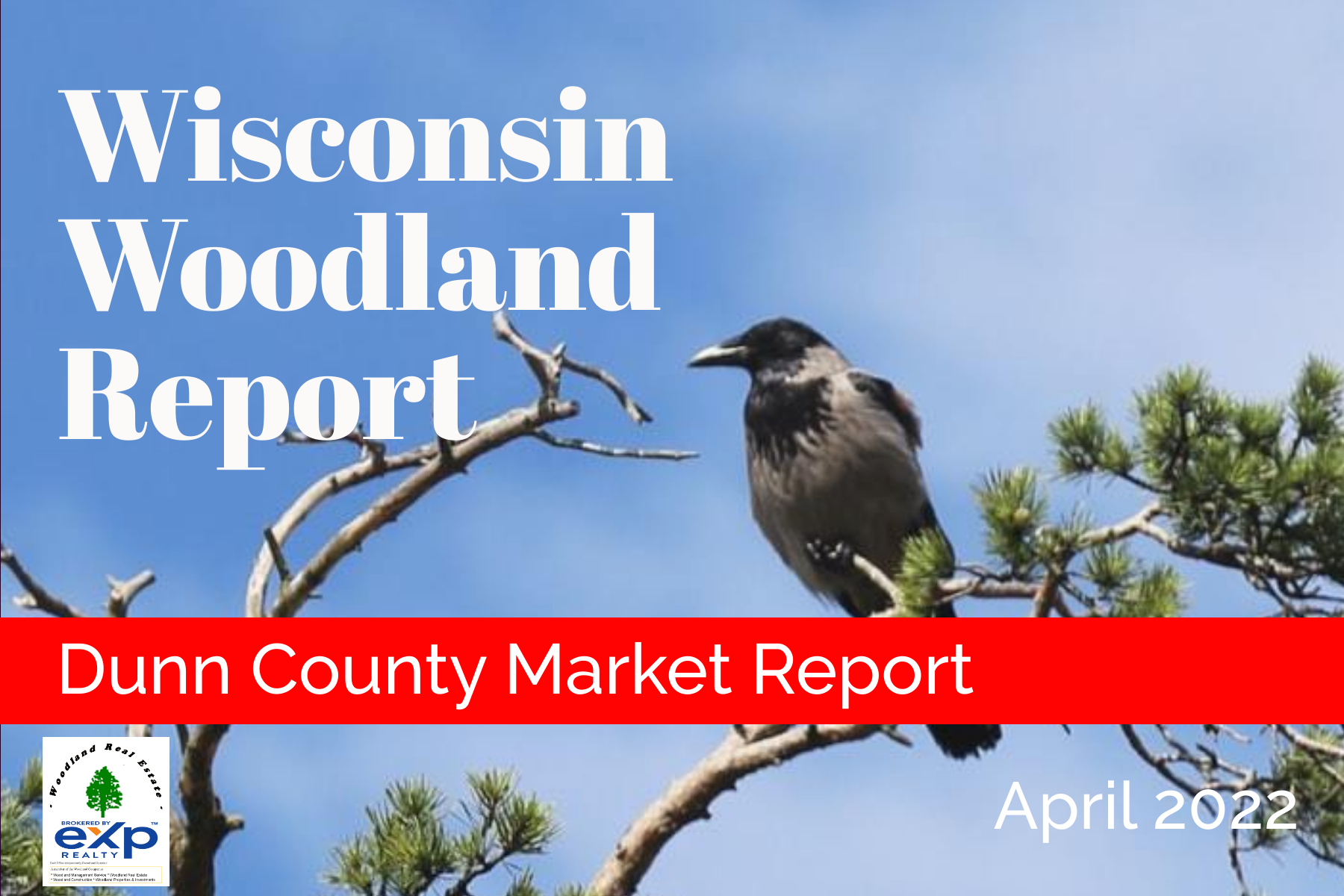 Wisconsin Woodland Report April 2022 Dunn County Land