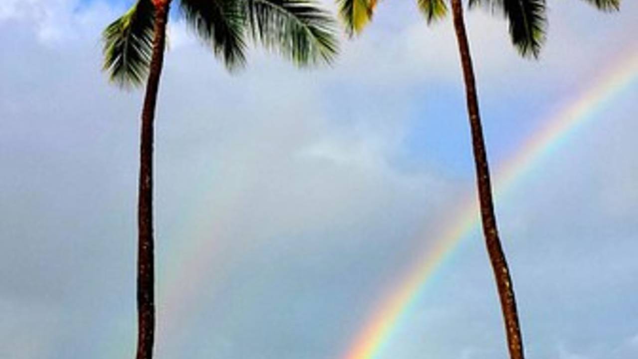 rainbow_palm_trees_pixabay.jpg